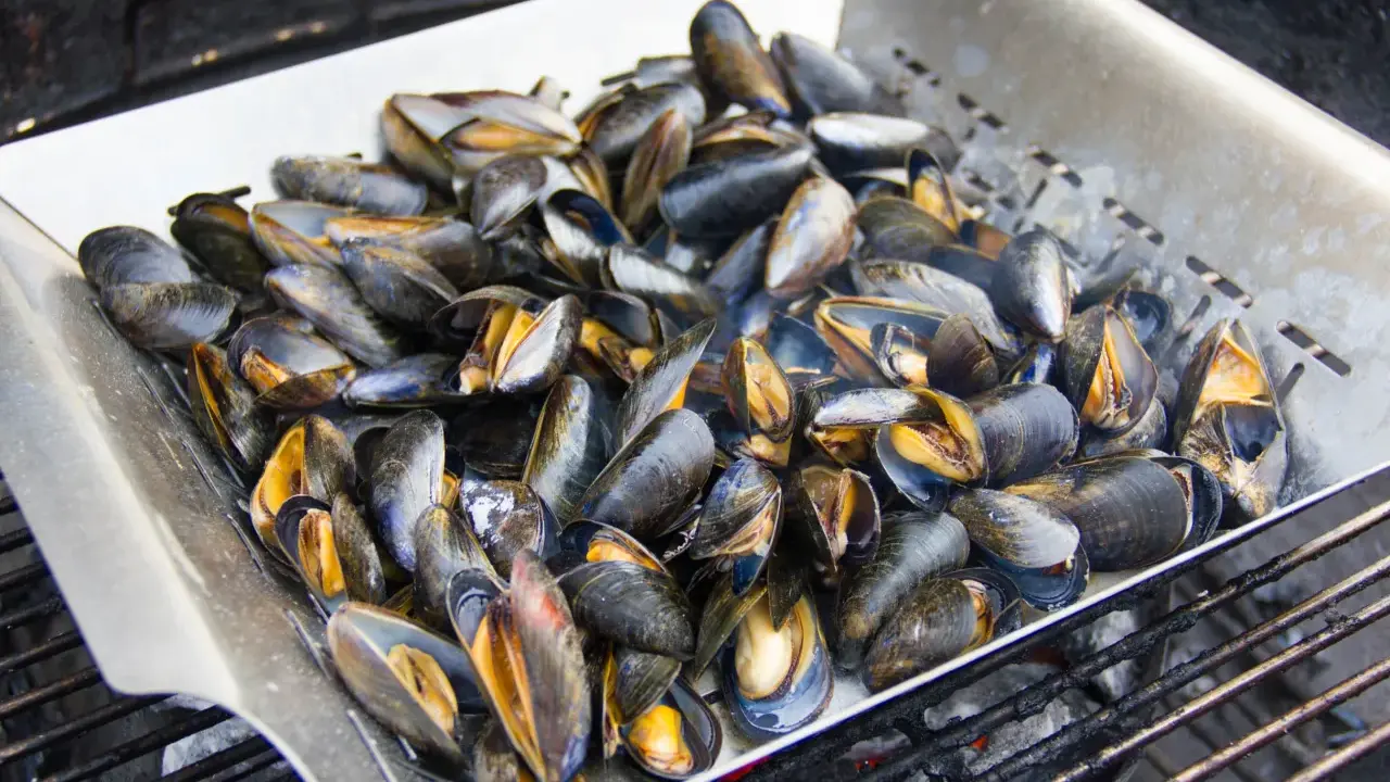 Un plateau de moules au barbecue, prêtes à être dégustées. Les coquilles sombres et orangées s'entrouvrent sous l'effet de la chaleur.