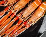 Langoustines fraîches, prêtes pour la cuisson. Leur couleur orange vif promet une saveur marine délicieuse.
