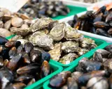 Vente de fruits de mer frais : moules, huîtres et palourdes. La saison des moules bat son plein, offrant une abondance de délices marins.