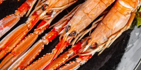 Langoustines fraîches, prêtes pour la cuisson. Leur couleur orange vif promet une saveur marine délicieuse.