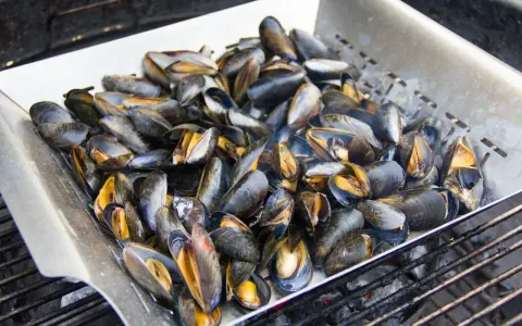 Un plateau de moules au barbecue, prêtes à être dégustées. Les coquilles sombres et orangées s'entrouvrent sous l'effet de la chaleur.