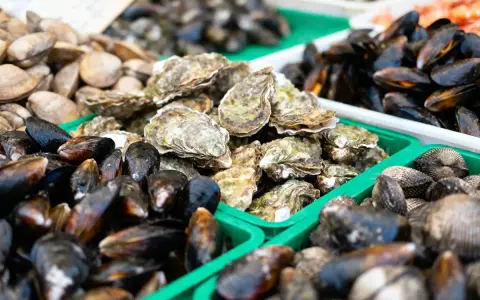 Vente de fruits de mer frais : moules, huîtres et palourdes. La saison des moules bat son plein, offrant une abondance de délices marins.