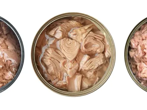 Trois boîtes de thon ouvertes : une avec des morceaux entiers, une avec des morceaux plus petits, et une émiettée. Idéal pour une recette thon en boite rapide.