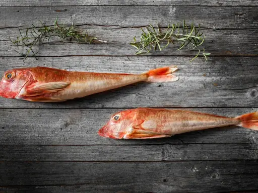 Deux grondins rouges crus sur fond de bois sombre, avec des brins de romarin.