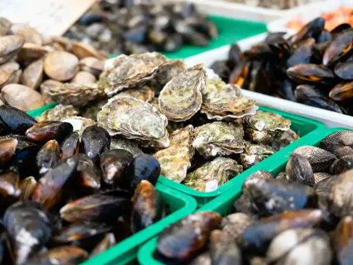 Vente de fruits de mer frais : moules, huîtres et palourdes. La saison des moules bat son plein, offrant une abondance de délices marins.