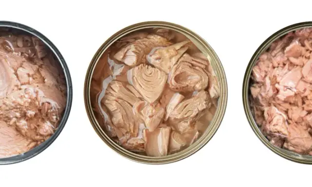 Trois boîtes de thon ouvertes : une avec des morceaux entiers, une avec des morceaux plus petits, et une émiettée. Idéal pour une recette thon en boite rapide.