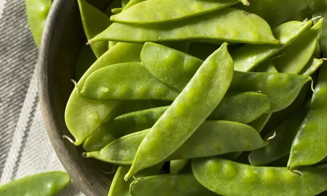 Un bol en bois rempli de pois gourmands frais, prêts pour la cuisson.